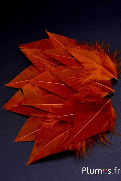 Blütenblätter aus Federn mit Flaum - 5–7 x 2–3 cm - aztekengold  